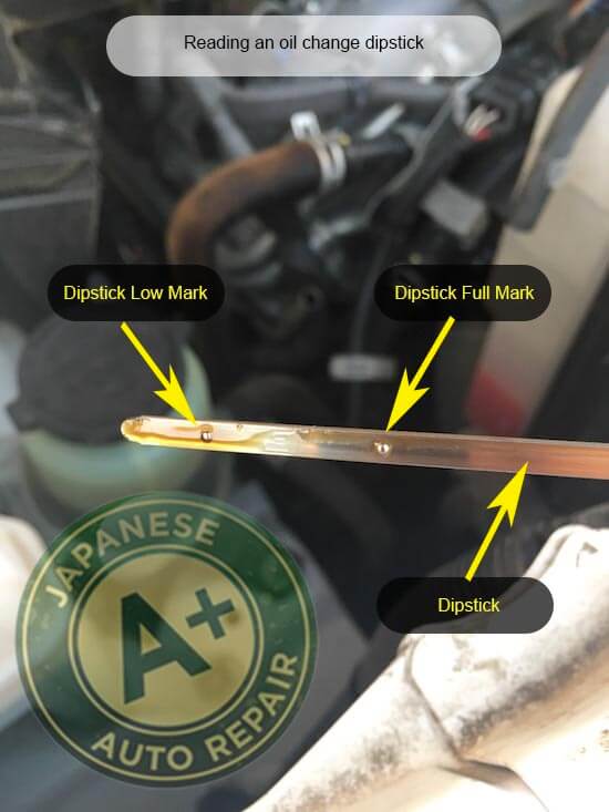 Reading an oil change dipstick - image shows a dipstick, dipstick low mark, dipstick full mark - A+ Japanese Auto Repair Inc.